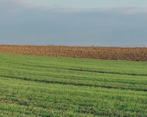 quels sont les plafonds des loyers des biens immobiliers bénéficiant du dispositif Loi Scellier ?